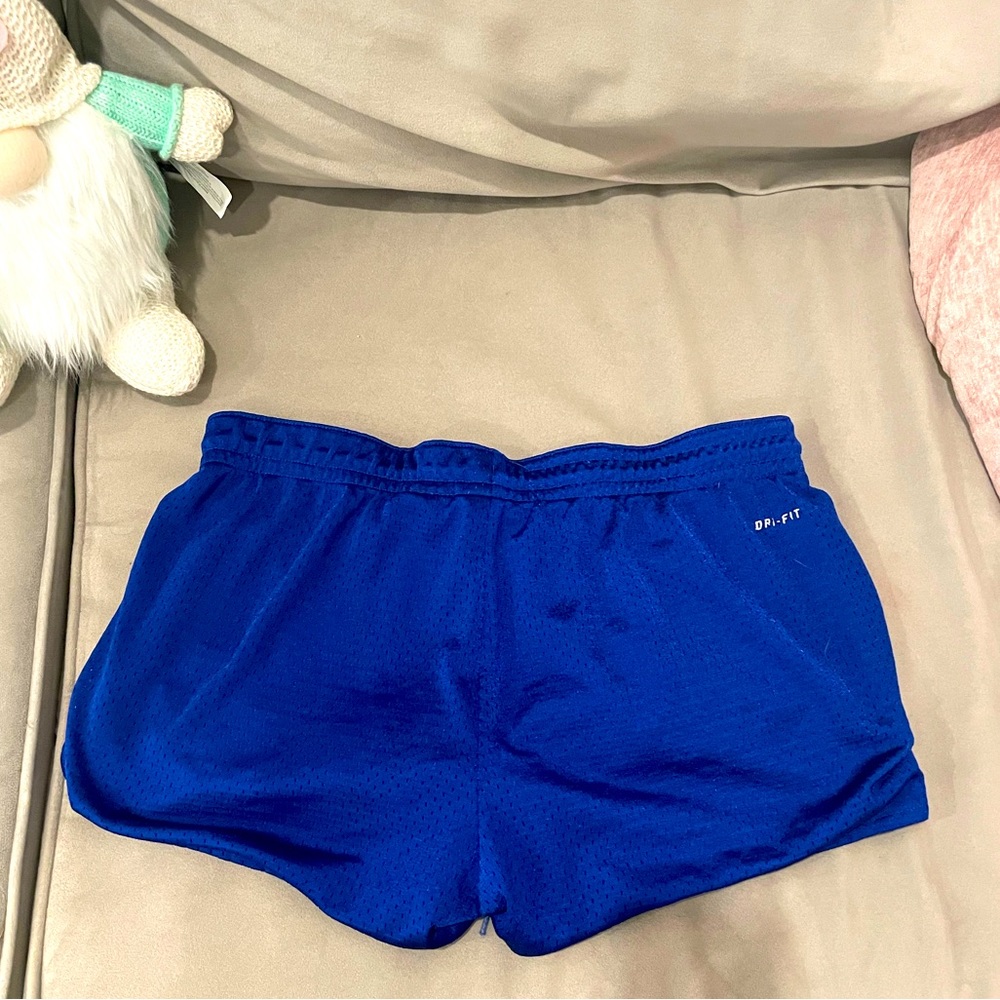 Nike Royal Blue Mesh Mini Shorts, Small
